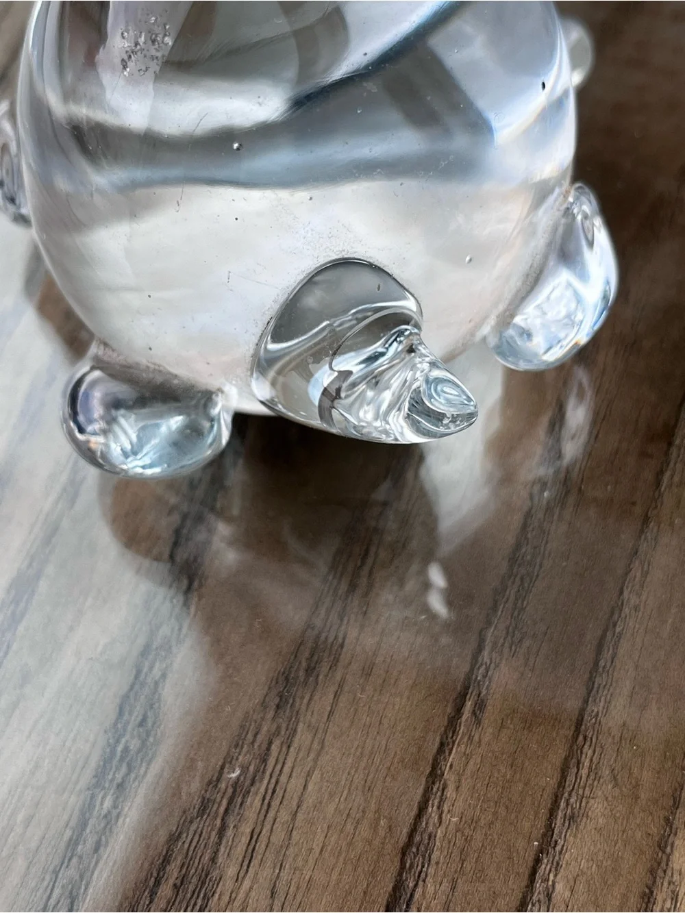 Clear Glass Turtle Decorative Paperweight - Home Accents